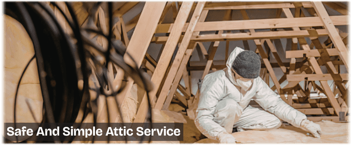 Attic Cleaning Great Falls