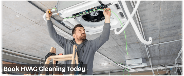 HVAC Mold Removal Great Falls